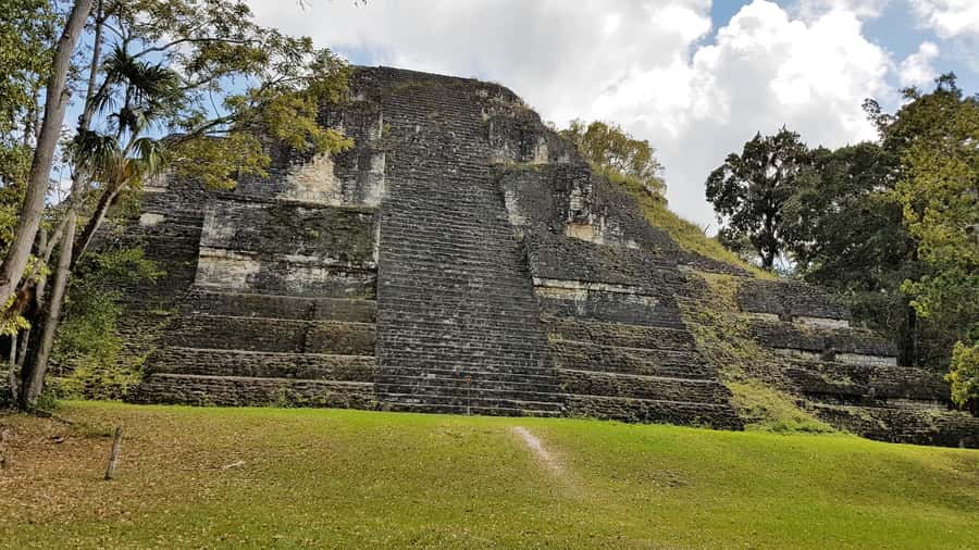 From Flores: Guided Tour to the Ruins of Tikal - Flores to Tikal in one day: the real feel of the experience