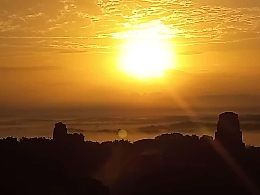 From Flores: Tikal Guided Tour with Transportation - Why This Tikal Experience From Flores Works So Well