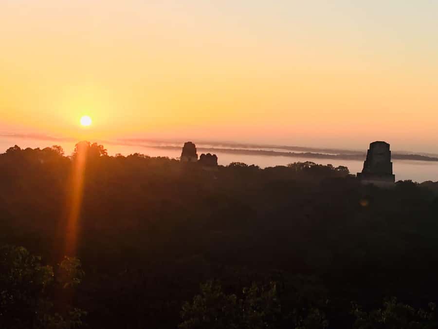 From Flores: Tikal Guided Tour with Transportation - Who Should Book This Tour (and Who Might Want to Skip It)