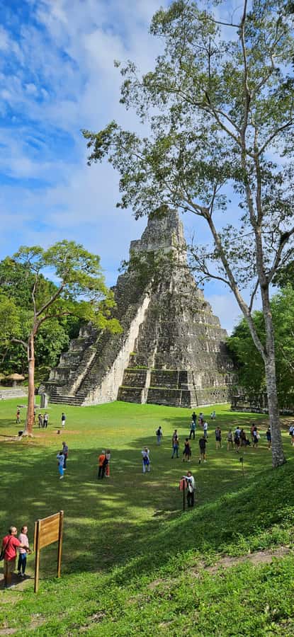 From Flores: Tikal National Park All Inclusive - Tikal from Flores, without the usual headache