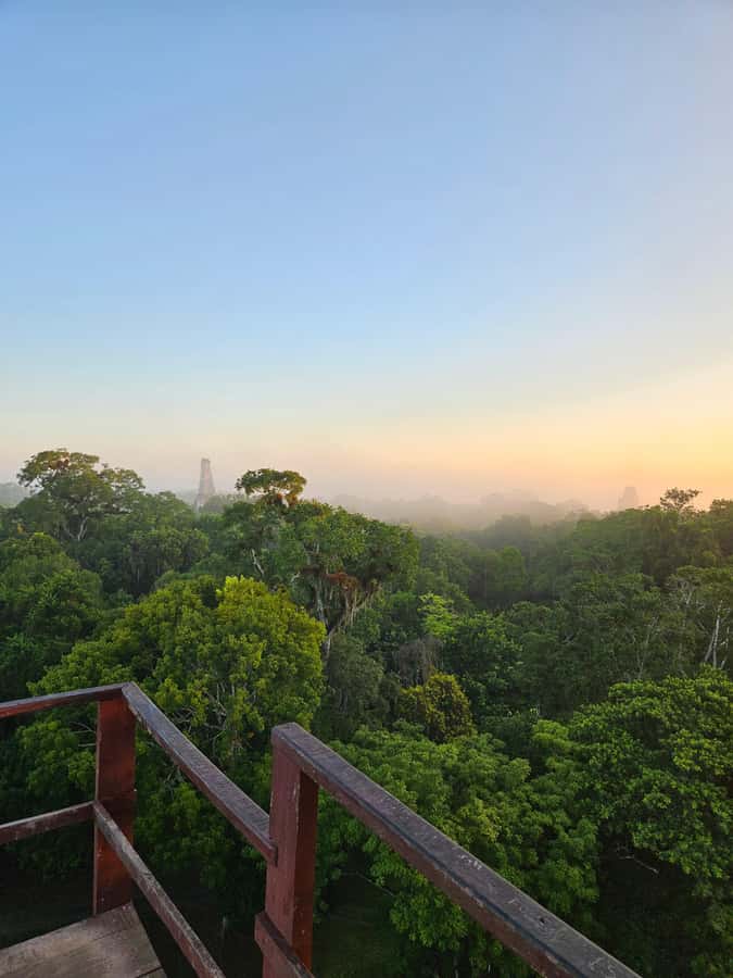 From Flores: Tikal National Park All Inclusive - The van ride: comfy seats, AC, and a realistic timeline
