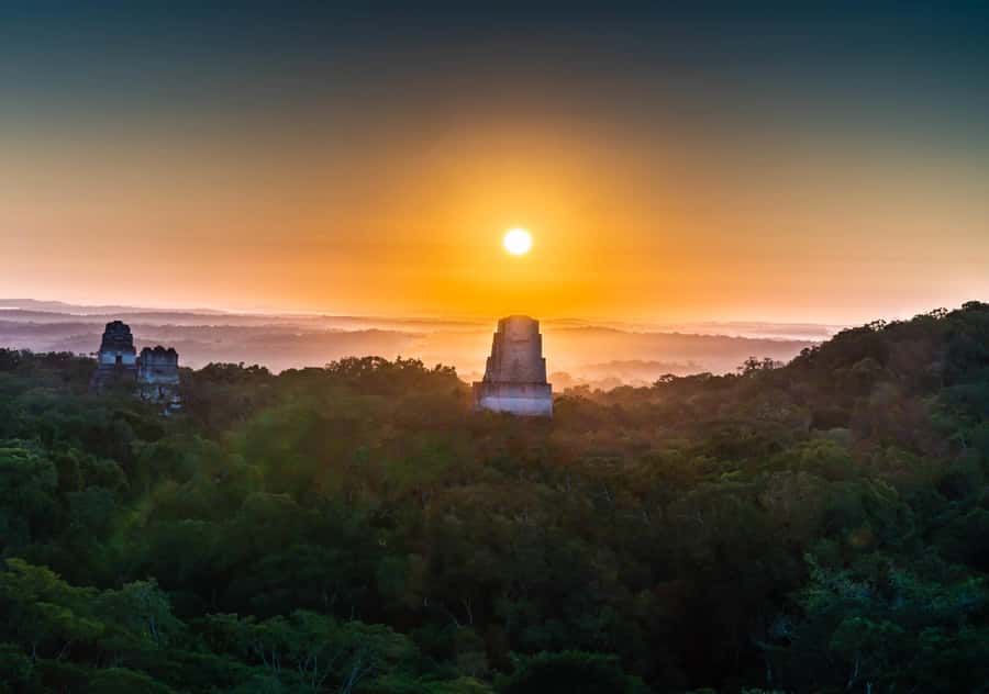 From Flores: Tikal Ruins Sunrise Guided Tour - Flores to Tikal at 2:30 am: how the early pickup really shapes your day