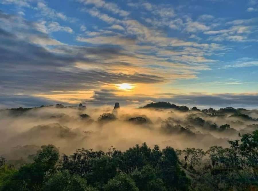 From Flores: Tikal Sunrise Extended Private Tour - The 40-minute walk to Temple IV, Two-Headed Serpentine