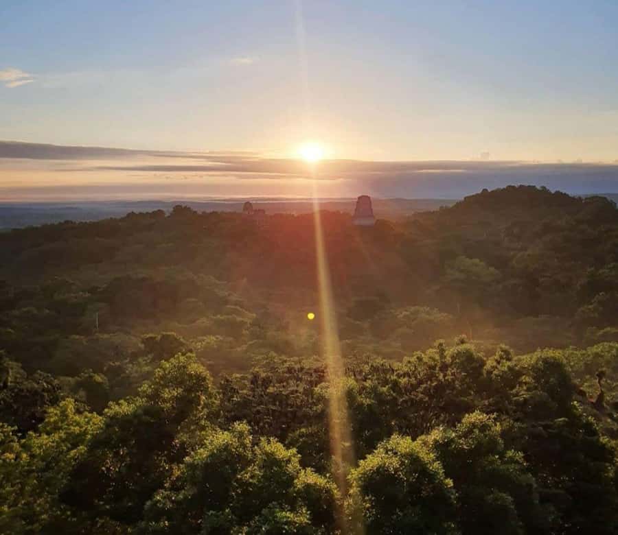 From Flores: Tikal Sunrise Extended Private Tour - Getting to Tikal from Isla de Flores or El Remate, without ticket stress