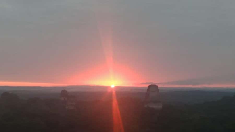 From Flores: Tikal Sunset Tour - The Mundo Perdido sunset climb: what the view is really like