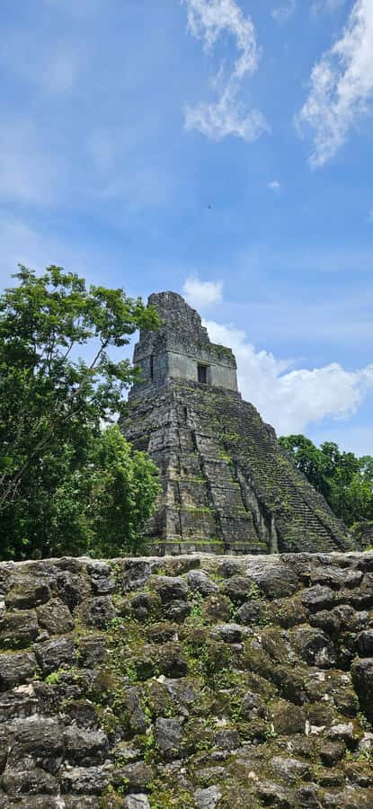 From Flores: Tour Tikal All Inclusive - Key highlights worth your attention