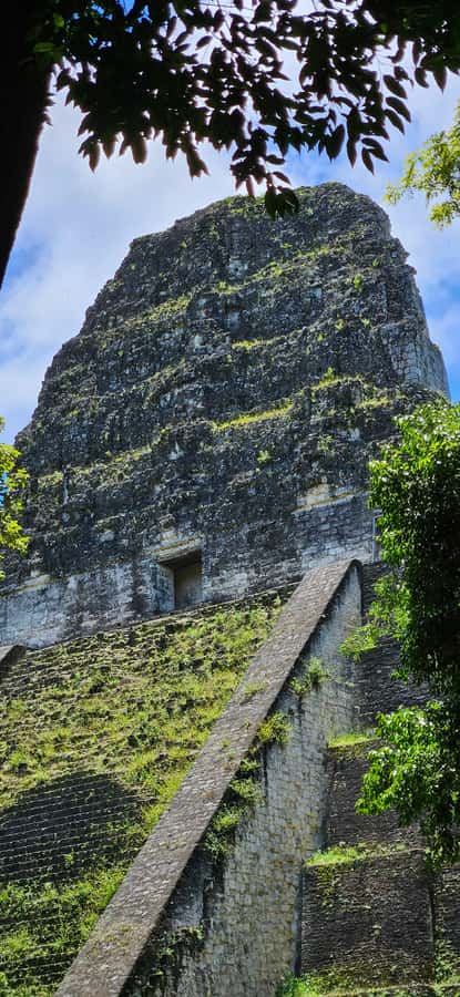 From Flores: Tour Tikal All Inclusive - Lunch breaks at the right time, without derailing the day
