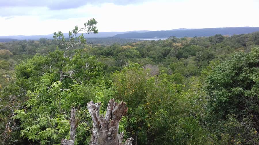 From Flores: Yaxha Ruins Guided Tour - Key highlights to look for