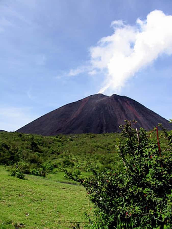 From Guatemala City or Antigua: Pacaya Volcano Day Tour - Key highlights to notice before you go