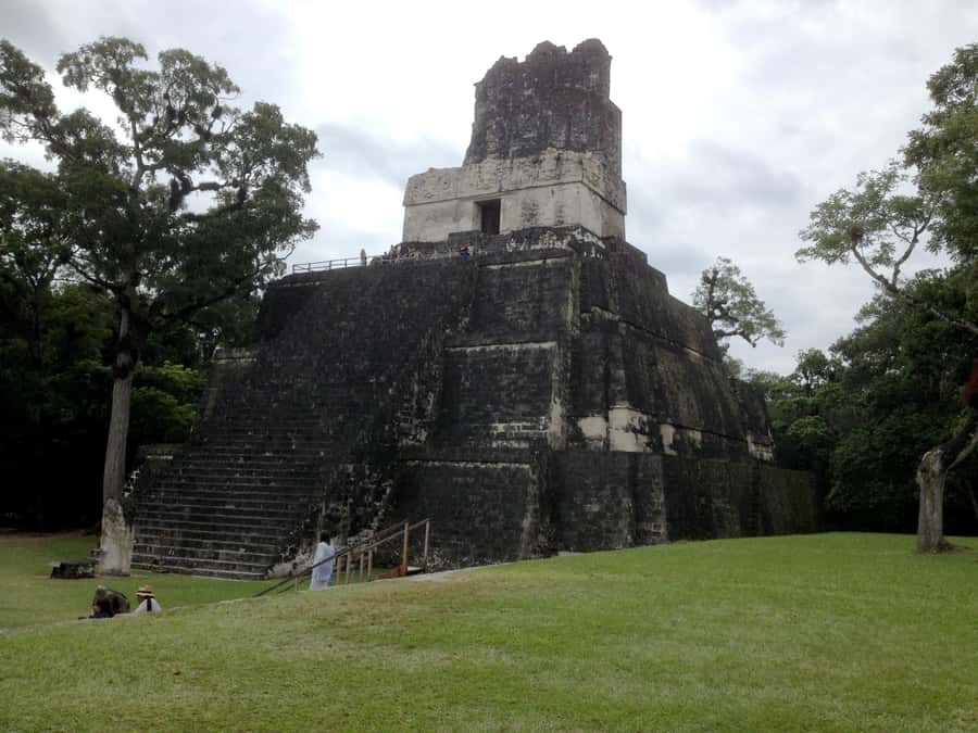 From San Ignacio: Tikal Maya Site Day-Trip with Local Lunch - At Tikal: wildlife, temples, and that wow moment of scale