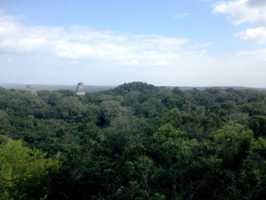From San Ignacio: Tikal Maya Site Day-Trip with Local Lunch - Lunch in a local Guatemala restaurant, plus how to handle timing
