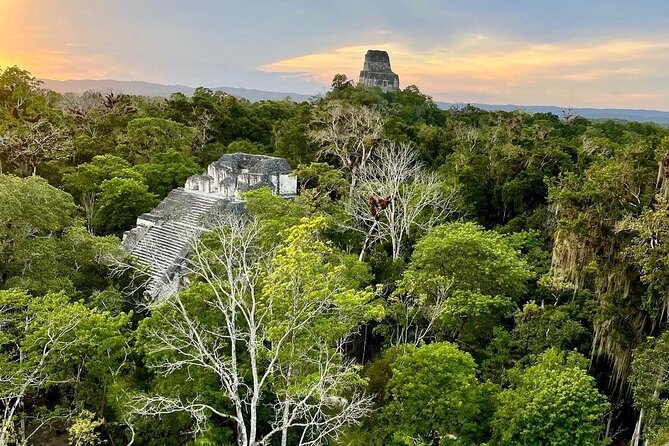 Full-Day Shared Tour to Tikal from Flores Peten with Lunch - Entering Tikal: First Walk, First Pyramids