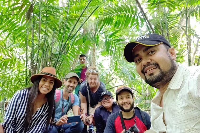 Full-Day Shared Tour to Tikal from Flores Peten with Lunch - The Big Climb: Why the Views Are the Point