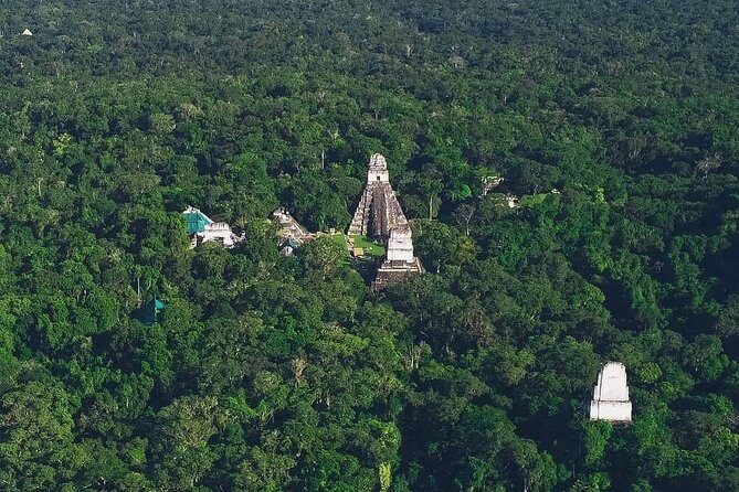 Full-Day Shared Tour to Tikal from Flores Peten with Lunch - Getting Picked Up in Flores: The Morning Setup