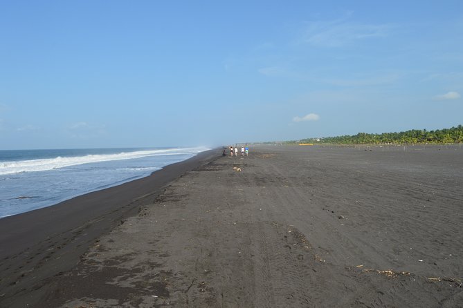 Guatemala San Jose Beach Private Tour - Why Puerto de San Jose and the black sand beach is worth a full day