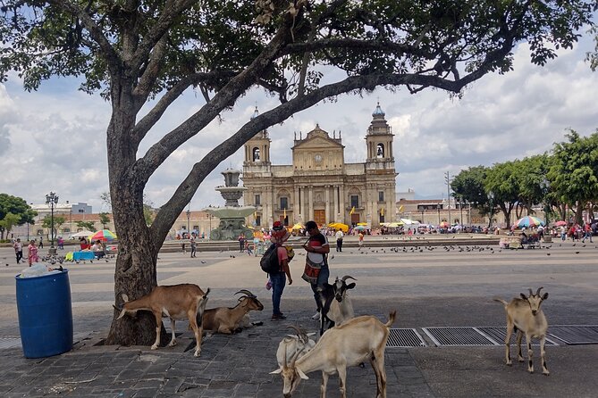 Half-Day Historical Tour of Guatemala City - Key Points Worth Booking For