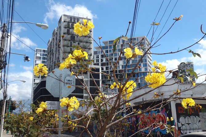 Half-Day Historical Tour of Guatemala City - Avenida Las Americas: Monuments, City Planning, and a Friendship Theme