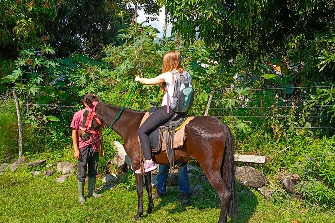 Horseback Riding Tour in San Pedro La Laguna - Horses and guides: where the trust comes from (Jose, Victor, Chico)