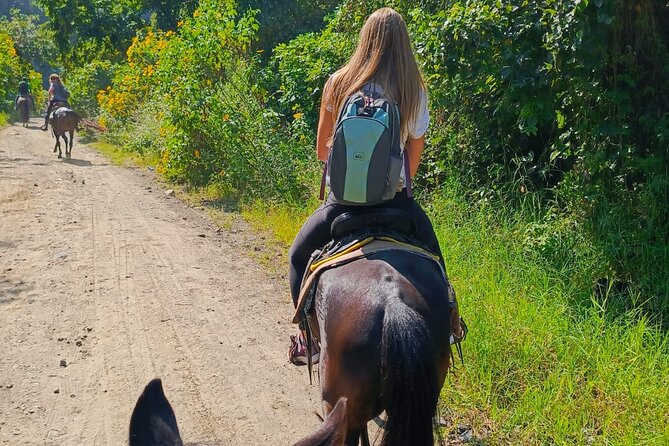 Horseback Riding Tour in San Pedro La Laguna - Cost and value: what $67 buys you in San Pedro
