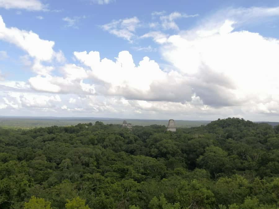 Impressive Tikal from Flores with Lunch - Lunch in the middle of the day: the underrated part