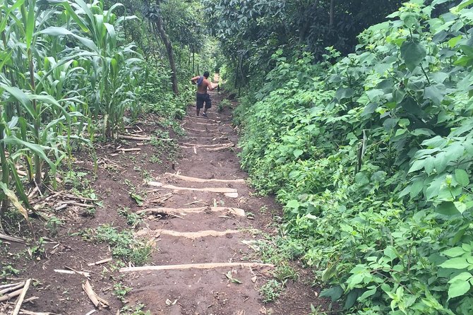 Indian Nose Peak and Lake Atitlan Sunrise Tour from Panajachel - Indian Nose hike: short distance, real cold, and a tricky last push