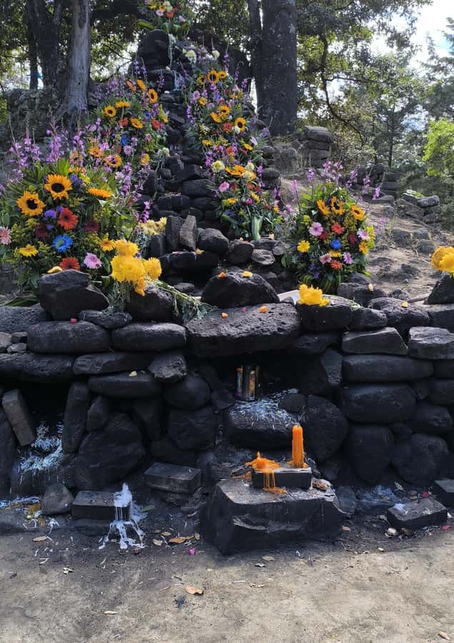Iximché: Archaeological Site from Guatemala City - Who should book this Iximché experience?