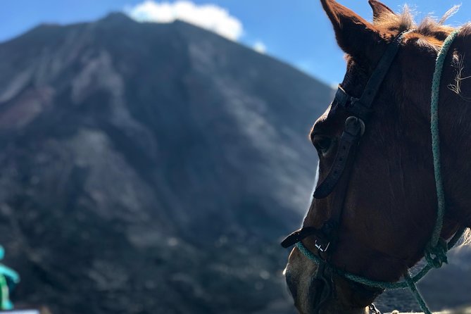 Pacaya Volcano and Thermal Pools - Key highlights you should care about