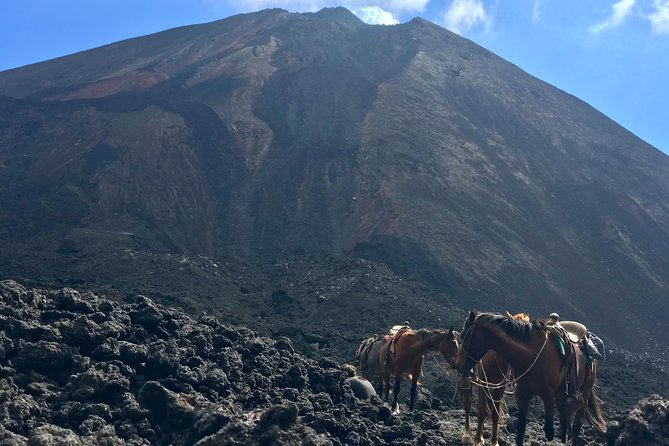 Pacaya Volcano and Thermal Pools - Pacaya and Santa Teresita in one day: the best kind of contrast