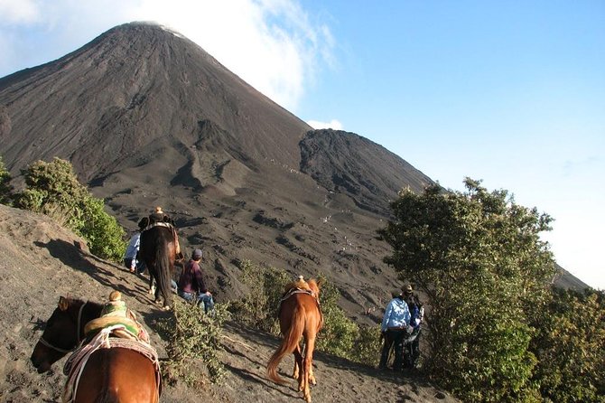 Pacaya Volcano Day Trip from Antigua - Your Antigua morning: what the 5-hour schedule actually means