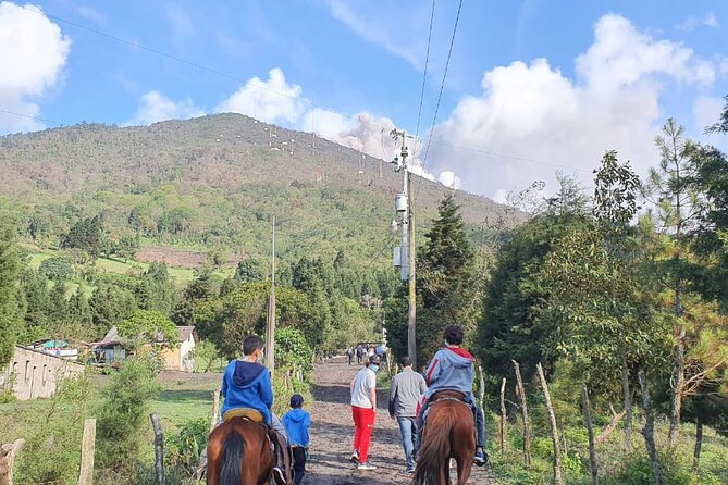 Pacaya Volcano & Guatemala City Private Tour - Getting to Pacaya Volcano: what the drive and start feel like