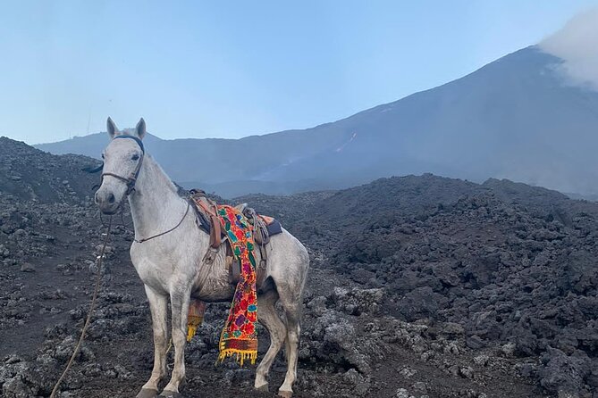 Pacaya Volcano Horseback Fast Ride Lava Pizza Chef - The lava chef meal is the main event after the ride