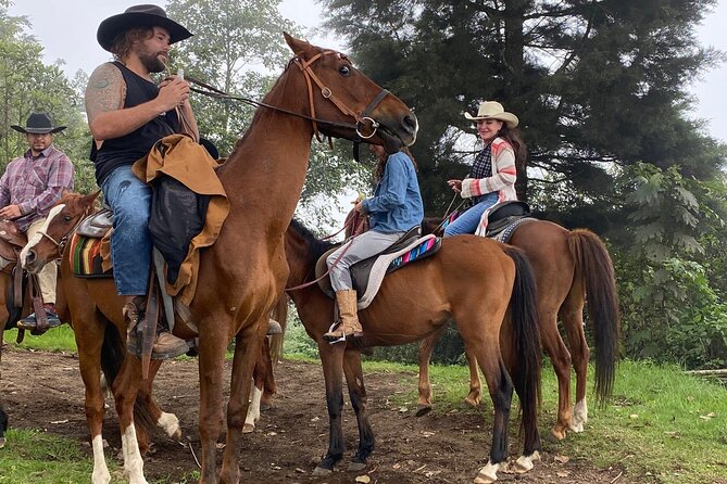 Pacaya Volcano Horseback Fast Ride Lava Pizza Chef - Horses and cowboy guides: why safety and calm really matter on Pacaya