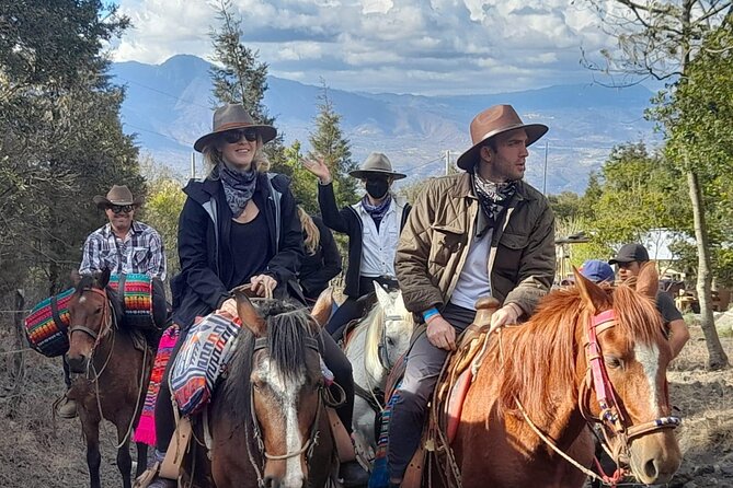 Pacaya Volcano Horseback Fast Ride Lava Pizza Chef - Fast ride versus stroll: how to choose without overthinking it