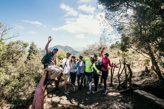 Pacaya Volcano Shared Hiking Tour - The guide experience: why David, Manny, and Pedro show up in good feedback