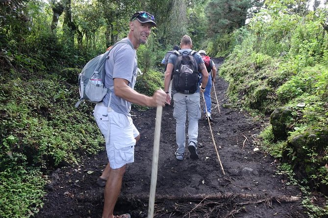 Pacaya Volcano Sunset Tour from Antigua - Price and Value at $138.47 Per Person