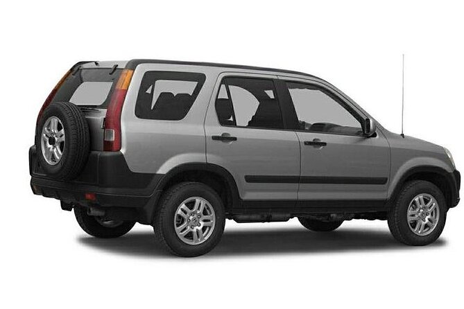 Private Shuttle from Guatemala City Airport to San Pedro la Laguna or Panajachel - Key Points That Matter Before You Go
