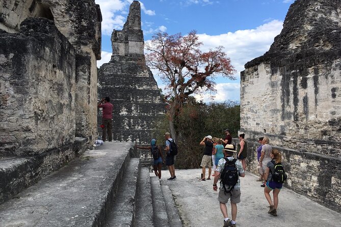Private Tour of Tikal from Belize Western border - Stop 6: Temple IV, one of the tallest viewpoints, and the Star Wars reference