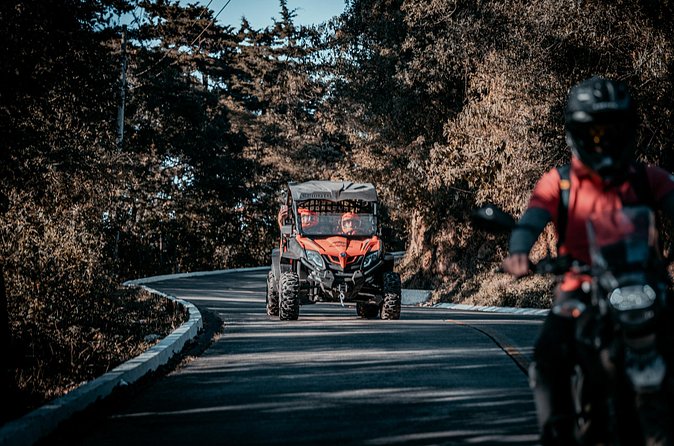 Private Tour to Hobbitenango by Mule and Buggy - Who This Tour Fits Best (And Who Should Skip It)