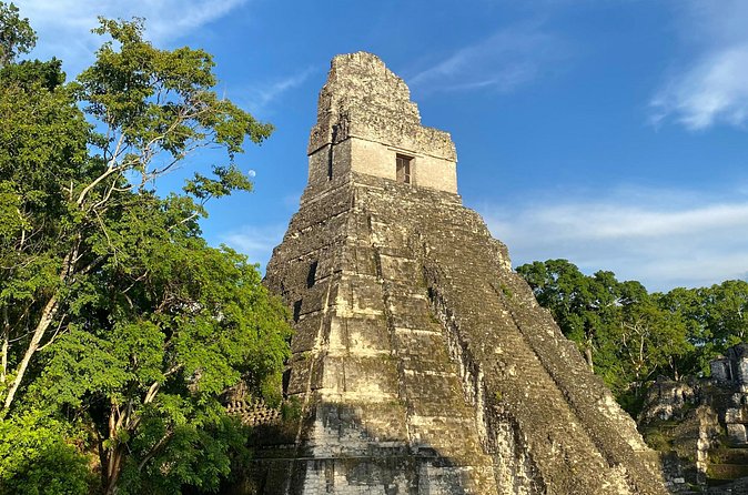 Private Tour to Tikal from Flores, all included. - Lunch Inside the Park, With Options That Actually Help