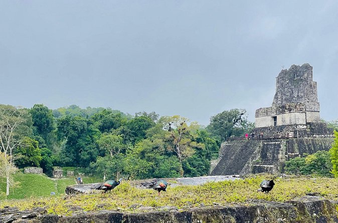 Private Tour to Tikal from Flores, all included. - Flores Time for Same-Day Flight Connections
