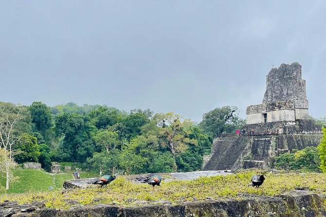 Private Tour to Tikal from Flores, all included. - A/C Pickup and the Comfort Factor on the Ride to Tikal
