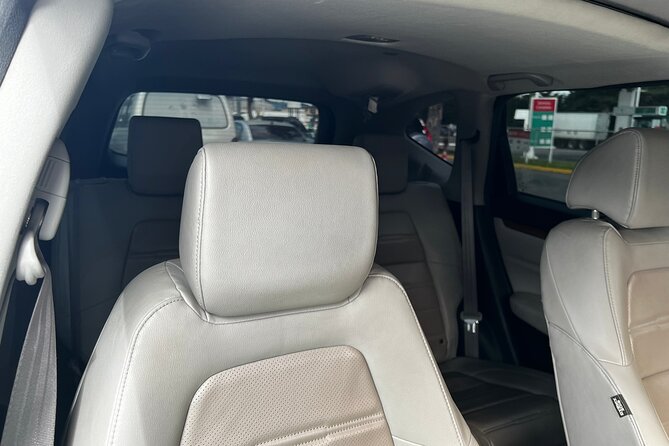 Private transfer Mundo Maya Airport to Flores Island Hotels - Should You Book This Private Transfer?