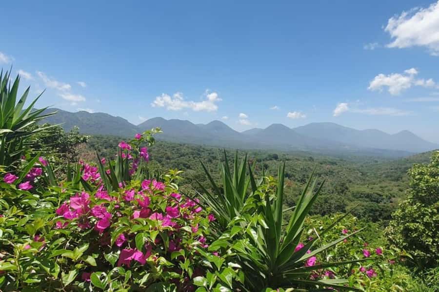 San Salvador: Full Day Ruta de Las Flores and Coffee Farm - Key Highlights You Can Plan Around
