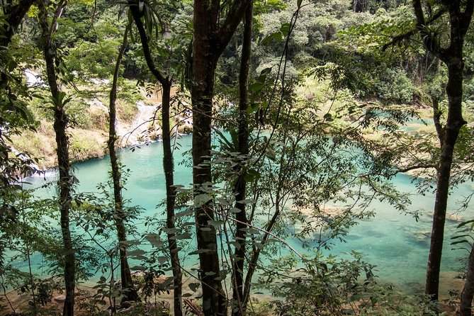 Semuc Chapey & Kamba Caves 3 days 2 nights - Day 2 at Semuc Champey: pozas, the mirador, and water-time you can actually enjoy