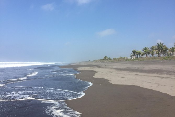 Shared Shuttle - between Antigua and El Paredon - Key Takeaways Before You Go