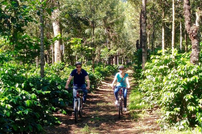 Sip n' Cycle Coffee and Mountain Bike Tour - Key highlights to know before you go