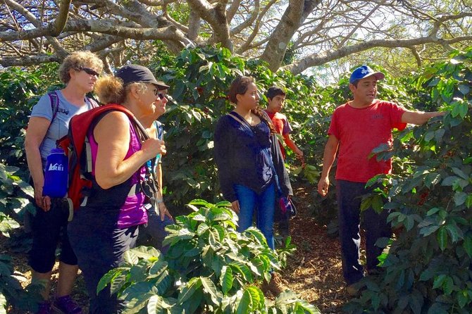 Sip n' Cycle Coffee and Mountain Bike Tour - Lunch with the family, fuel for the ride and the road