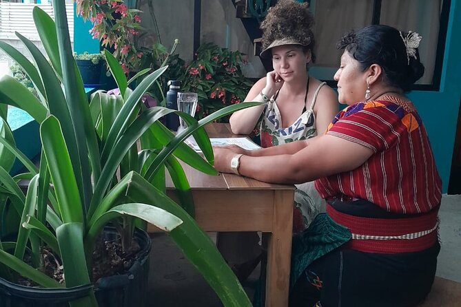 Temazcal sauna and dinner, cultural sharing experience - Temazcal sauna basics: herbs, steam, and instructions that actually help