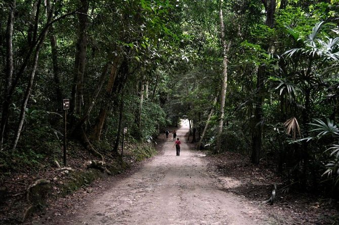 Tikal and Yaxha Exclusive Private Tour from Flores - Price and value: what $300 covers, and what you should confirm before you pay