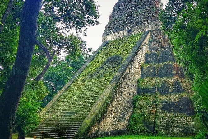 Tikal Day Tour From San Ignacio Belize - Border crossing with an English-speaking guide, not a do-it-yourself headache